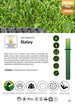 ✨ Slaley: Luxury 42mm Artificial Grass for a Flawless, Resilient. Available in 4mtr or 2mtr Widths - Hardscape Supplies Co