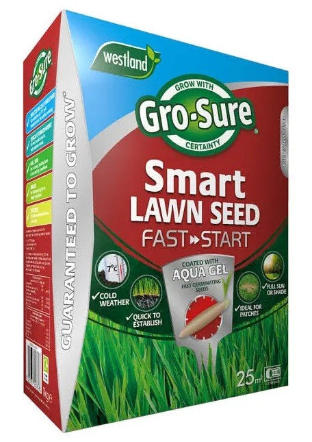 Lawn Seed