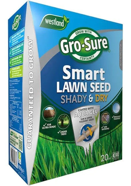 Lawn Seed