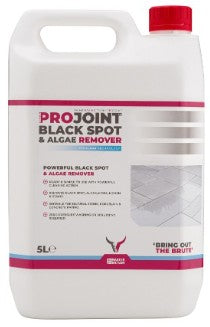 BSAR™ BLACK SPOT & ALGAE REMOVER CONCENTRATE - Hardscape Supplies Co