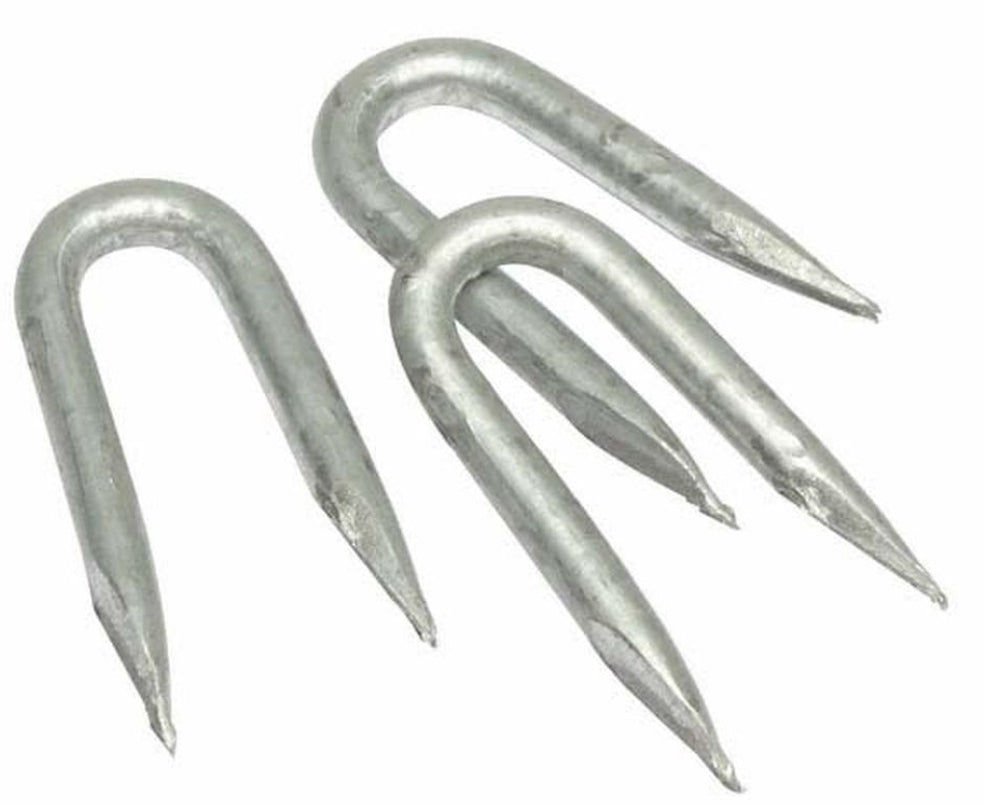 Galvanised Staples